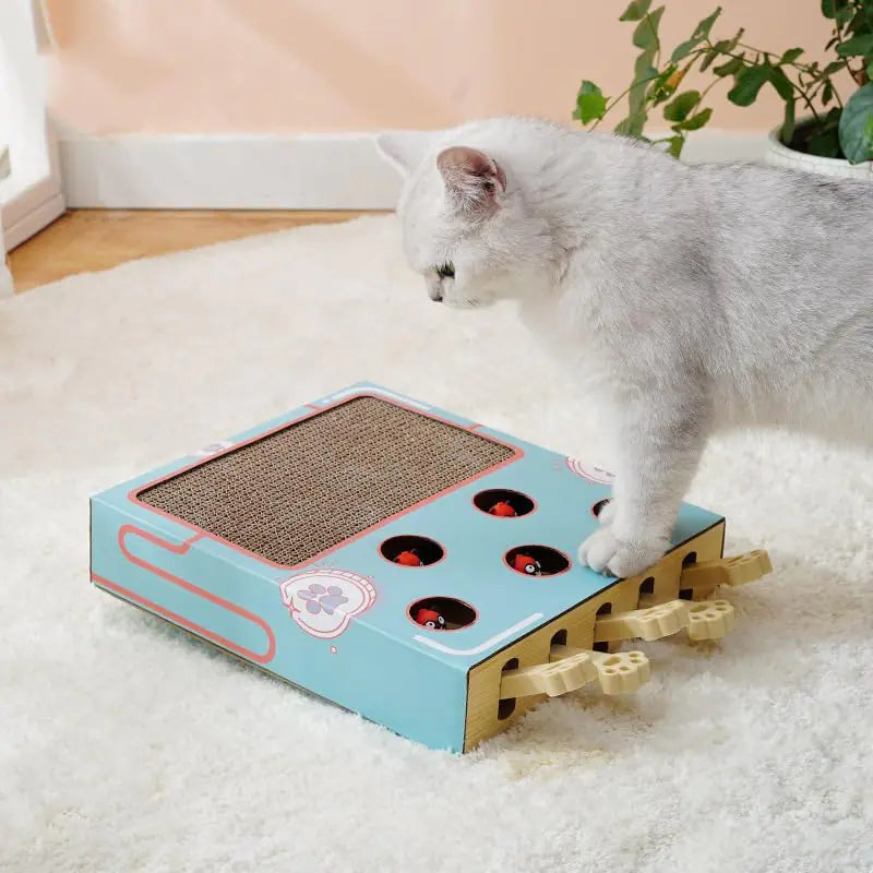 Cat Enrichment Toys for Indoor Cats Whack a Mole Game Cat Puzzle Toy Safe Fun Box Paws Scratcher Interactive Box Catch Mice Game Cat Puzzle Toy for All Ages Exercise Puzzle Relieve Boredom(Blue)