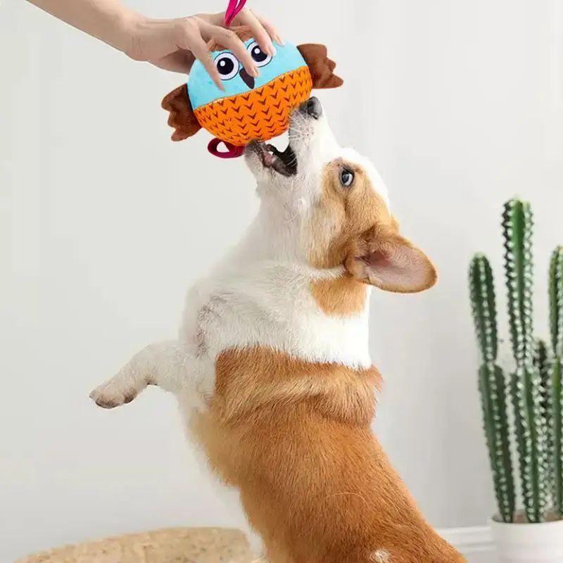 Interactive Dog Toys