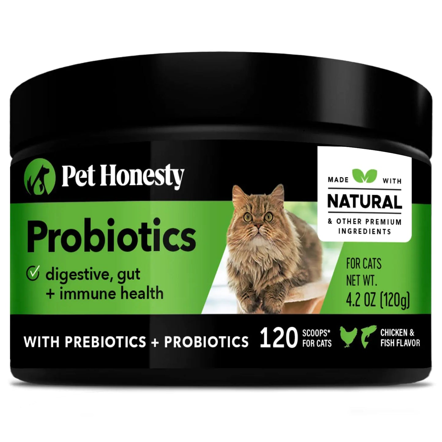 Pet Honesty Digestive Probiotics Max Strength for Cats Supplement - Digestive Support + Gut Health Probiotic for Cats Cat Constipation Relief Bowel Support Immunity & Overall Health - 120 Scoops