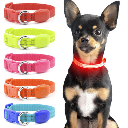 Domagiker Light Up Dog Collars - Reflective LED Dog Collar Rechargeable Bright Safety Glow Collar for Small Dogs& Cats Flashing Lighted Dog Collar Lights for Night Walking (XS Red)