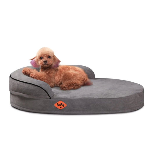 Laifug Memory Foam Oval Dog Bed (31x21x7Inches Dark Gray) Orthopedic Dog Bed for Dogs with Durable Waterproof Liner & Removable Washable Cover & Nonskid Bottom