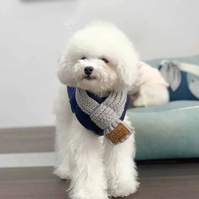 Winter Dog Collar Bandana for Yorkshire & French Bulldogs