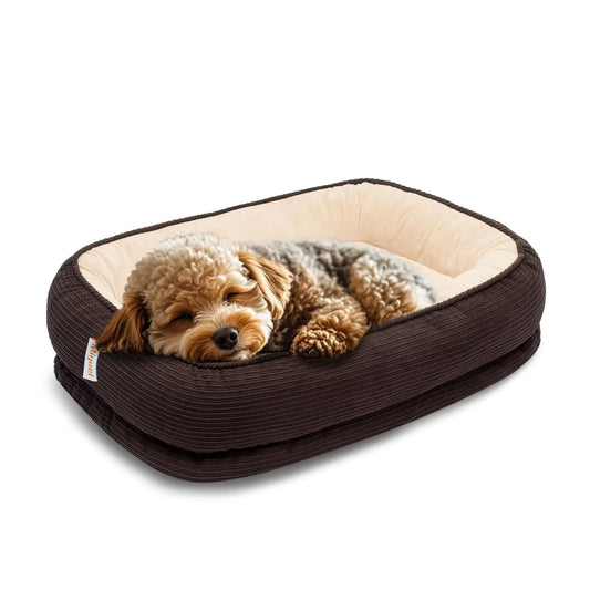 Miguel Orthopedic Dog Bed for Small Dog Cat Beds for Indoor Cats Memory Foam Pet Bed Washable Removable Cover Calming Puppy Bed with Side Dog Couch Comfort Sofa Egg Foam Support Brown 20 inches