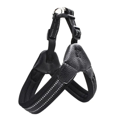 Reflective Dog Leash for Safety and Visibility