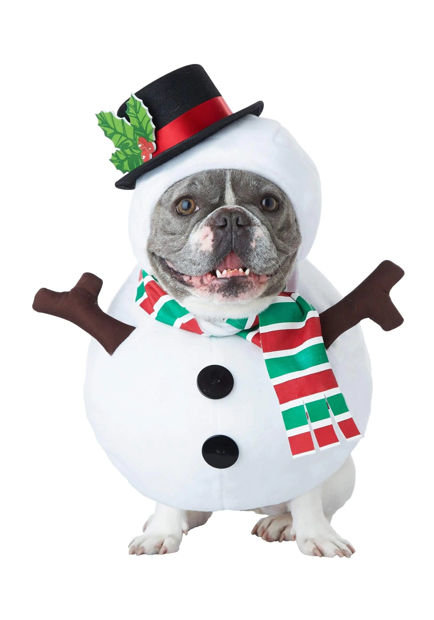 California Costumes Dog Snowman Costume - X-Small - White