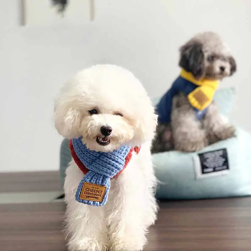 Winter Dog Collar Bandana for Yorkshire & French Bulldogs